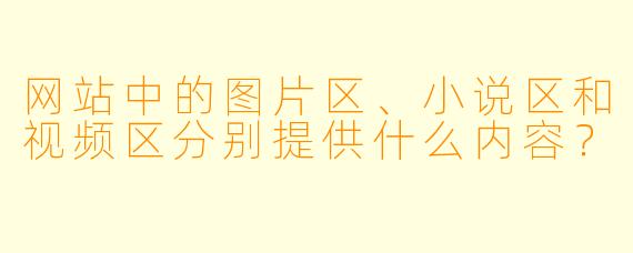 网站中的图片区、小说区和视频区分别提供什么内容？