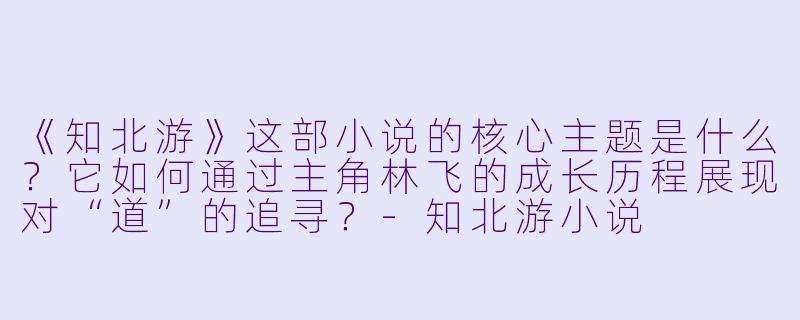《知北游》这部小说的核心主题是什么？它如何通过主角林飞的成长历程展现对“道”的追寻？-知北游小说