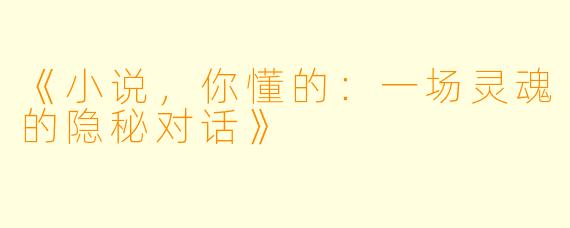 《小说，你懂的：一场灵魂的隐秘对话》
