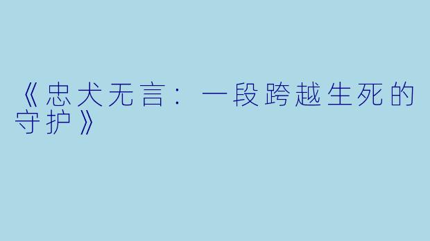 《忠犬无言：一段跨越生死的守护》