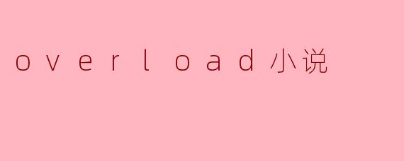 overload小说
