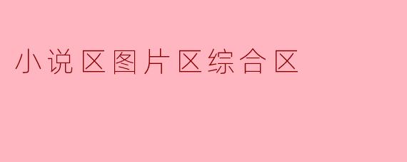 小说区图片区综合区