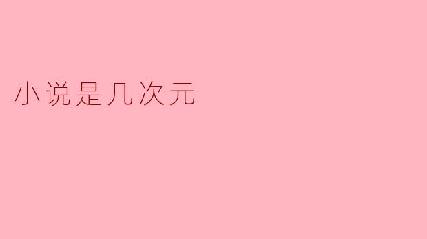 小说是几次元