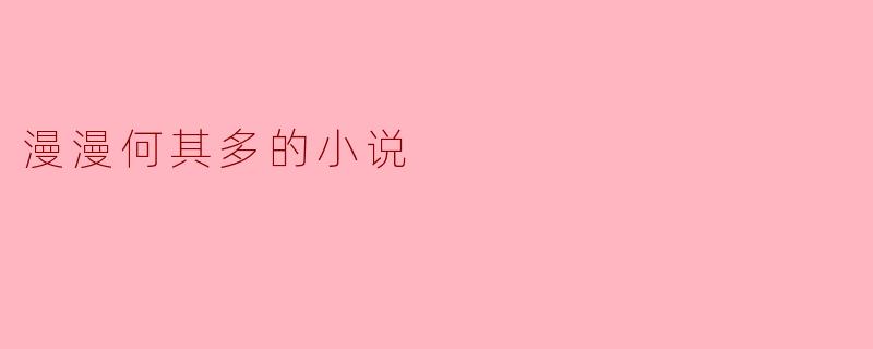 漫漫何其多的小说