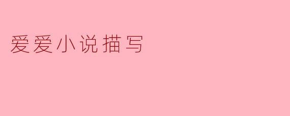 爱爱小说描写
