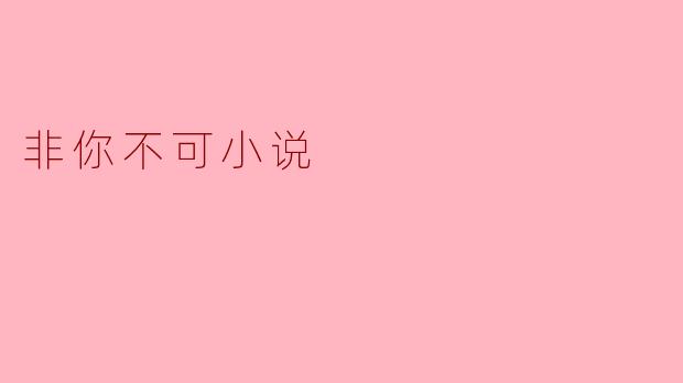 非你不可小说