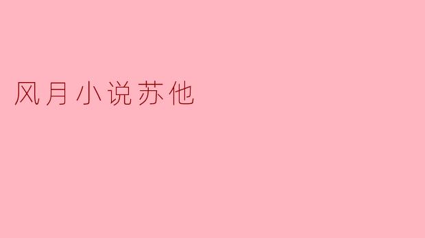 风月小说苏他
