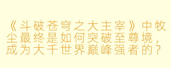 《斗破苍穹之大主宰》中牧尘最终是如何突破至尊境，成为大千世界巅峰强者的？