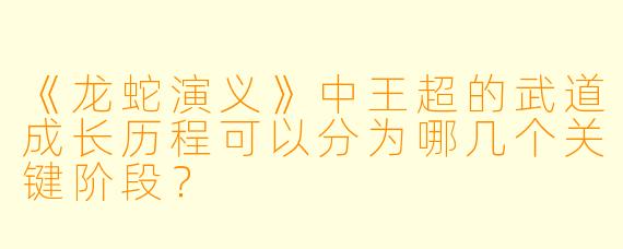 《龙蛇演义》中王超的武道成长历程可以分为哪几个关键阶段？