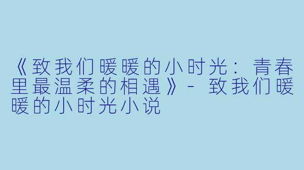 《致我们暖暖的小时光：青春里最温柔的相遇》-致我们暖暖的小时光小说