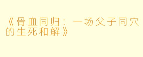 《骨血同归：一场父子同穴的生死和解》