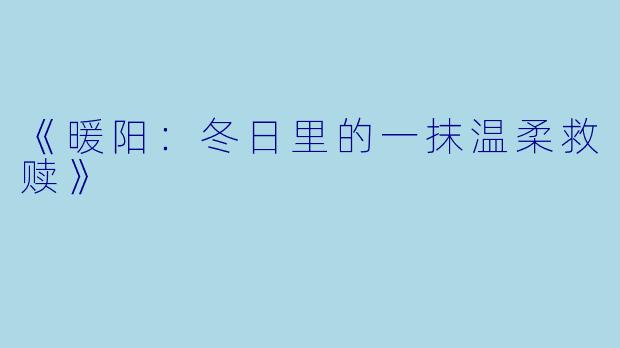 《暖阳：冬日里的一抹温柔救赎》