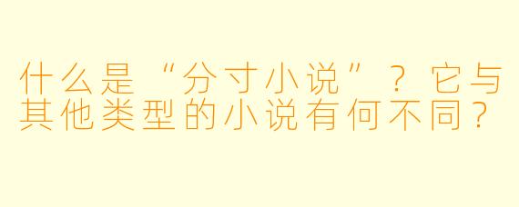 什么是“分寸小说”？它与其他类型的小说有何不同？