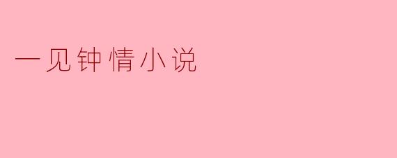 一见钟情小说