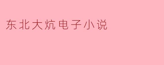 东北大炕电子小说