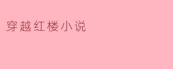 穿越红楼小说