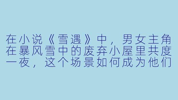 在小说《雪遇》中，男女主角在暴风雪中的废弃小屋里共度一夜，这个场景如何成为他们关系转折的关键？它仅仅是因为极端环境催生的依赖，还是揭示了更深层的情感伏笔？-雪遇小说