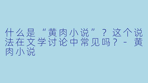 什么是“黄肉小说”？这个说法在文学讨论中常见吗？-黄肉小说