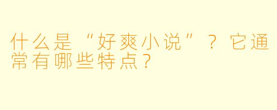 什么是“好爽小说”？它通常有哪些特点？