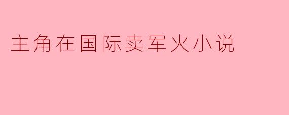 主角在国际卖军火小说