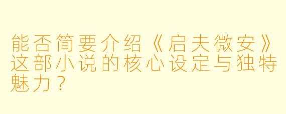 能否简要介绍《启夫微安》这部小说的核心设定与独特魅力？