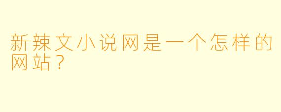 新辣文小说网是一个怎样的网站？