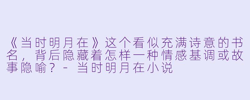 《当时明月在》这个看似充满诗意的书名，背后隐藏着怎样一种情感基调或故事隐喻？