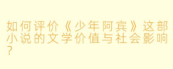 如何评价《少年阿宾》这部小说的文学价值与社会影响？