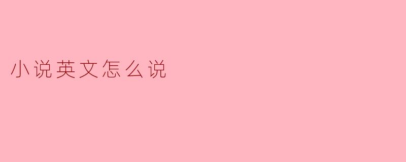 小说英文怎么说