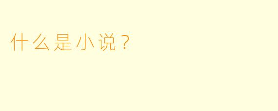 什么是小说？