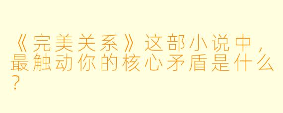 《完美关系》这部小说中,最触动你的核心矛盾是什么?