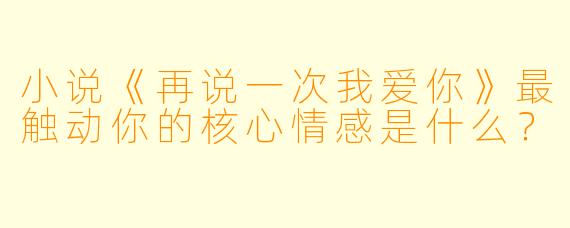 小说《再说一次我爱你》最触动你的核心情感是什么？