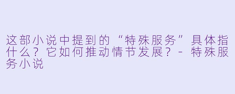 这部小说中提到的“特殊服务”具体指什么？它如何推动情节发展？