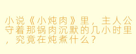 小说《小炖肉》里，主人公守着那锅肉沉默的几小时里，究竟在炖煮什么？