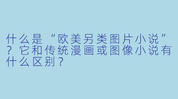 什么是“欧美另类图片小说”？它和传统漫画或图像小说有什么区别？