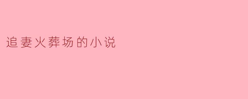 追妻火葬场的小说