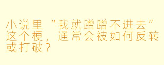 小说里“我就蹭蹭不进去”这个梗，通常会被如何反转或打破？