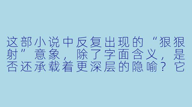 这部小说中反复出现的“狠狠射”意象，除了字面含义，是否还承载着更深层的隐喻？它如何与主角的内心困境相互映照？-狠狠射 小说