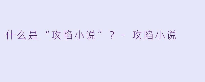 什么是“攻陷小说”？-攻陷小说