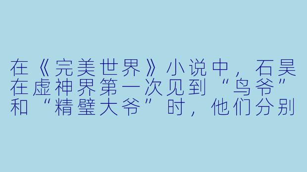 在《完美世界》小说中，石昊在虚神界第一次见到“鸟爷”和“精璧大爷”时，他们分别是什么身份？