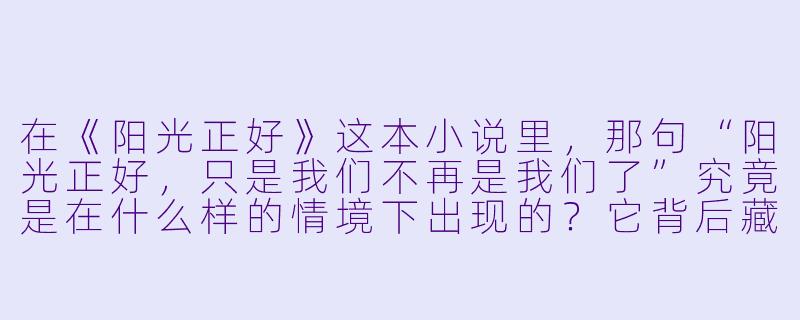 在《阳光正好》这本小说里，那句“阳光正好，只是我们不再是我们了”究竟是在什么样的情境下出现的？它背后藏着怎样的故事？-阳光正好 小说