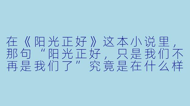 在《阳光正好》这本小说里，那句“阳光正好，只是我们不再是我们了”究竟是在什么样的情境下出现的？它背后藏着怎样的故事？