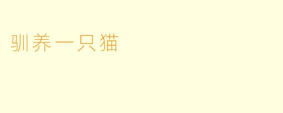 驯养一只猫