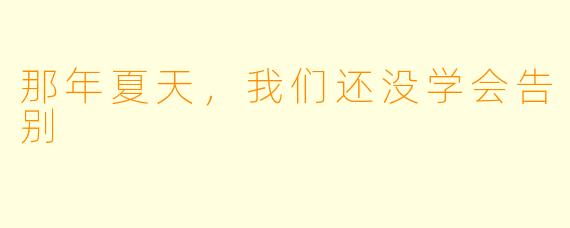 那年夏天,我们还没学会告别