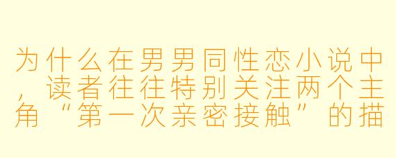 为什么在男男同性恋小说中，读者往往特别关注两个主角“第一次亲密接触”的描写，甚至比情节发展更在意？