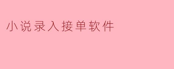 小说录入接单软件