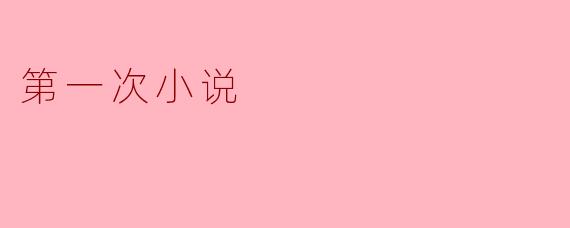 第一次小说
