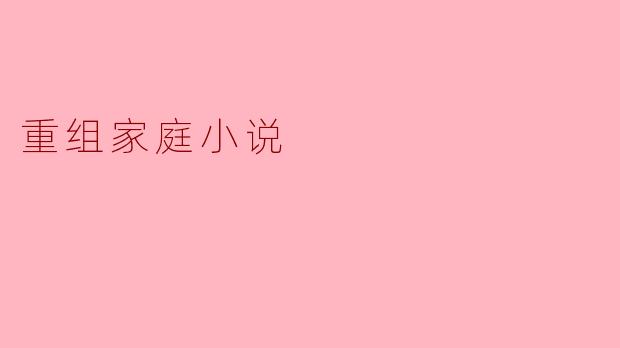 重组家庭小说