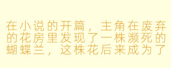 在小说的开篇,主角在废弃的花房里发现了一株濒死的蝴蝶兰,这株花后来成为了故事的重要象征。请问,这株蝴蝶兰在情节中具体承载了哪些核心隐喻,又是如何推动主角的命运转折的?