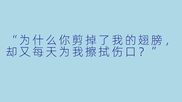 “为什么你剪掉了我的翅膀，却又每天为我擦拭伤口？”